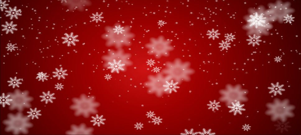 Preparing Your Warehouse for the Pre-Christmas Rush